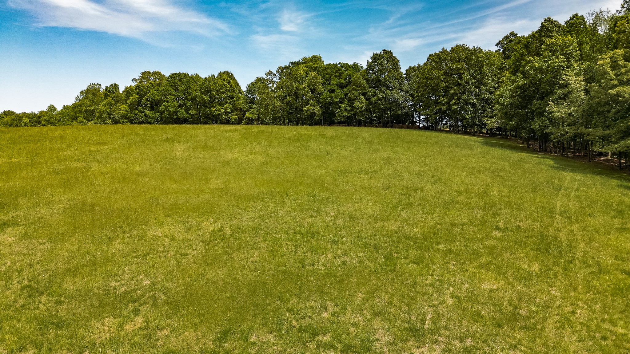 110 Womack Road Portland, TN 37148 - Photo 29 of 44 a view of yard with ocean view