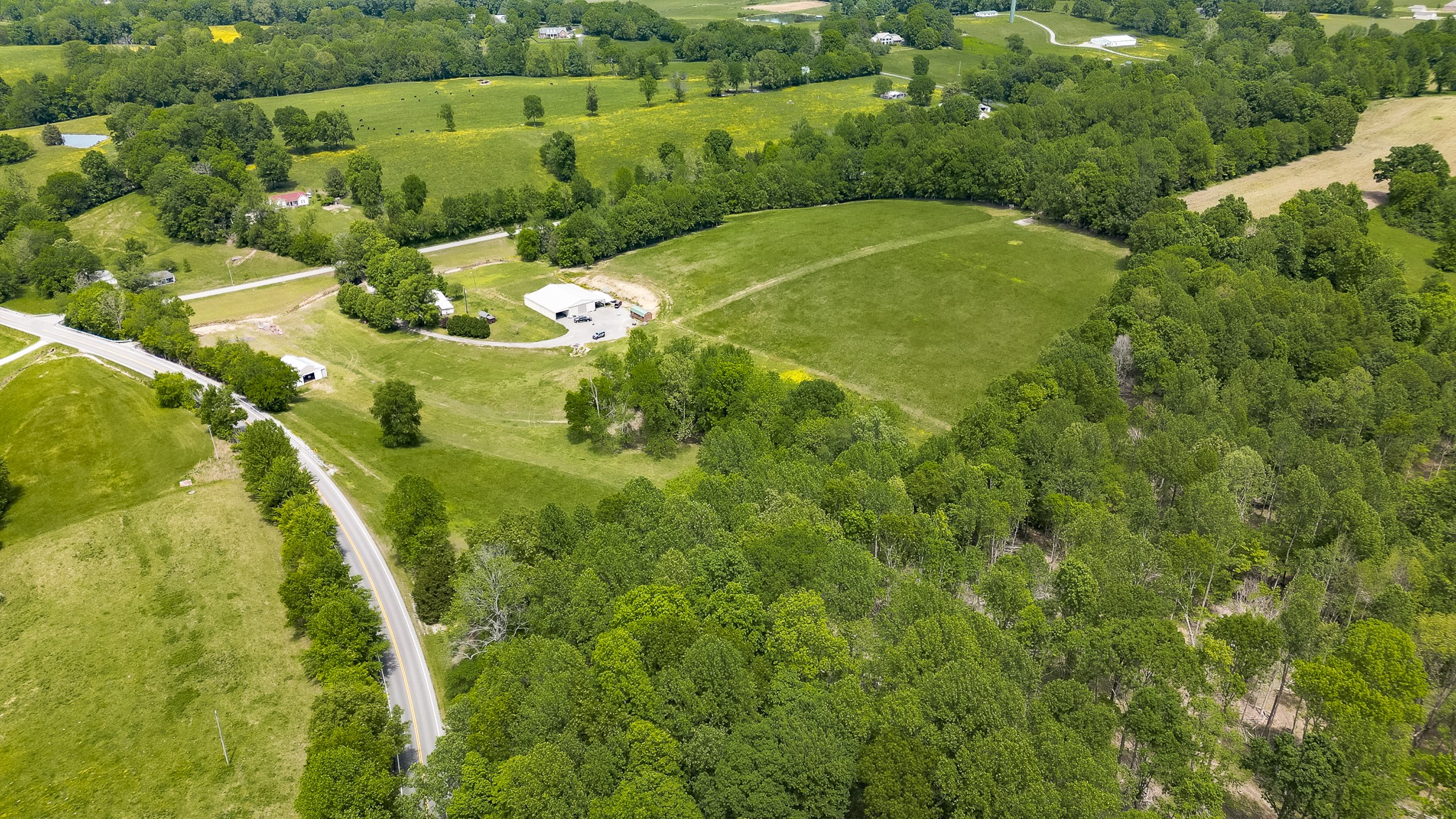 110 Womack Road Portland, TN 37148 - Photo 3 of 44 a view of a big yard with plants and large trees