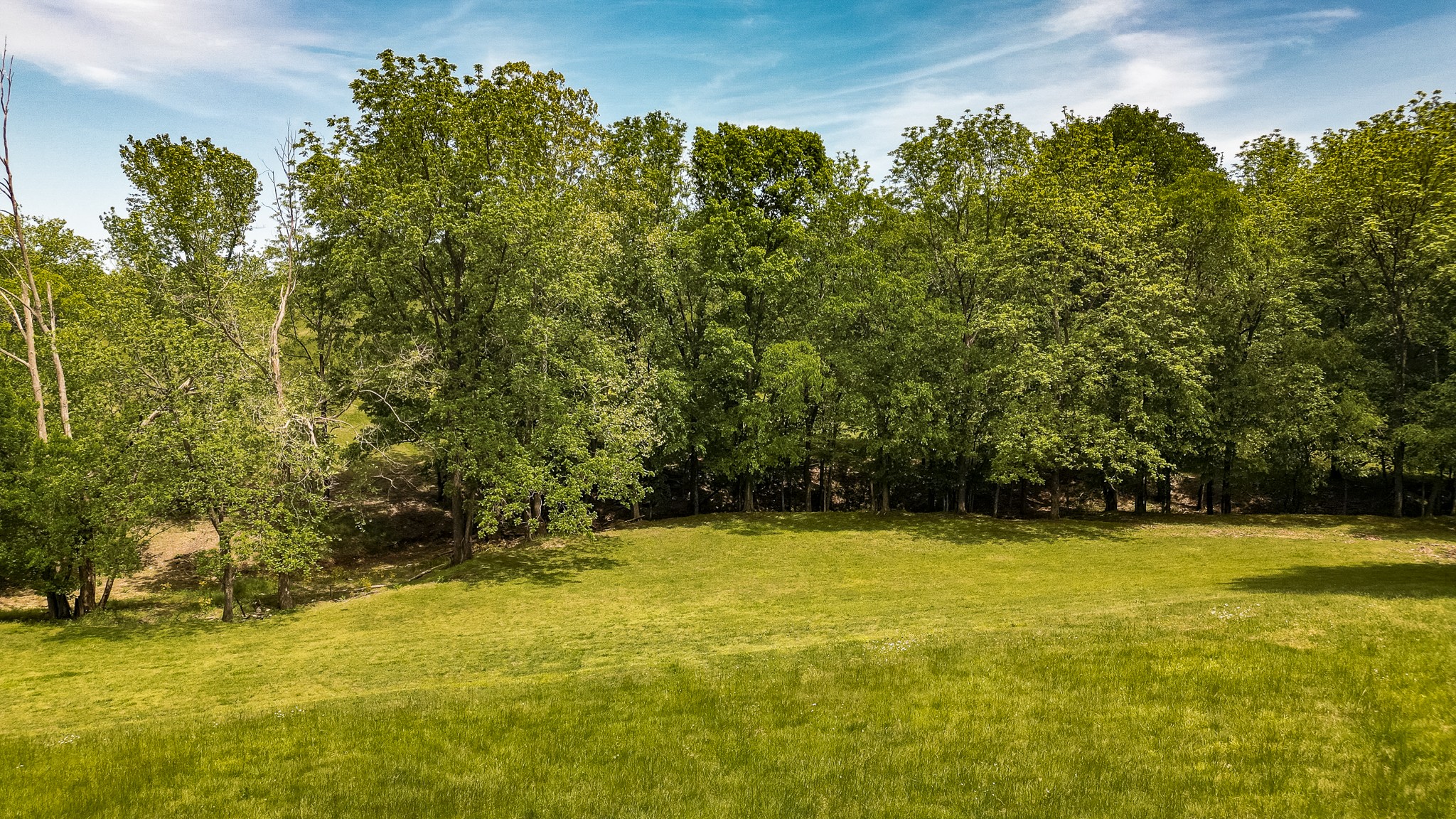 110 Womack Road Portland, TN 37148 - Photo 36 of 44 a view of a lake view