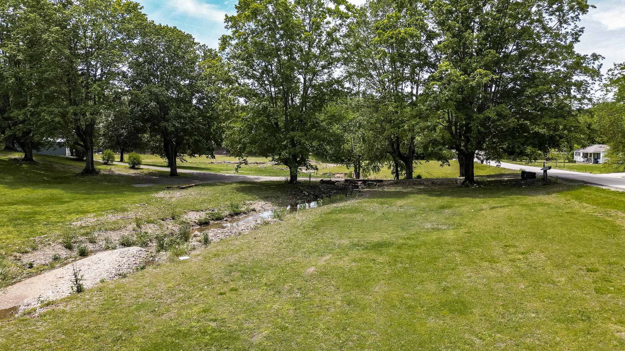 110 Womack Road Portland, TN 37148 - Photo 41 of 44 a view of yard with trees