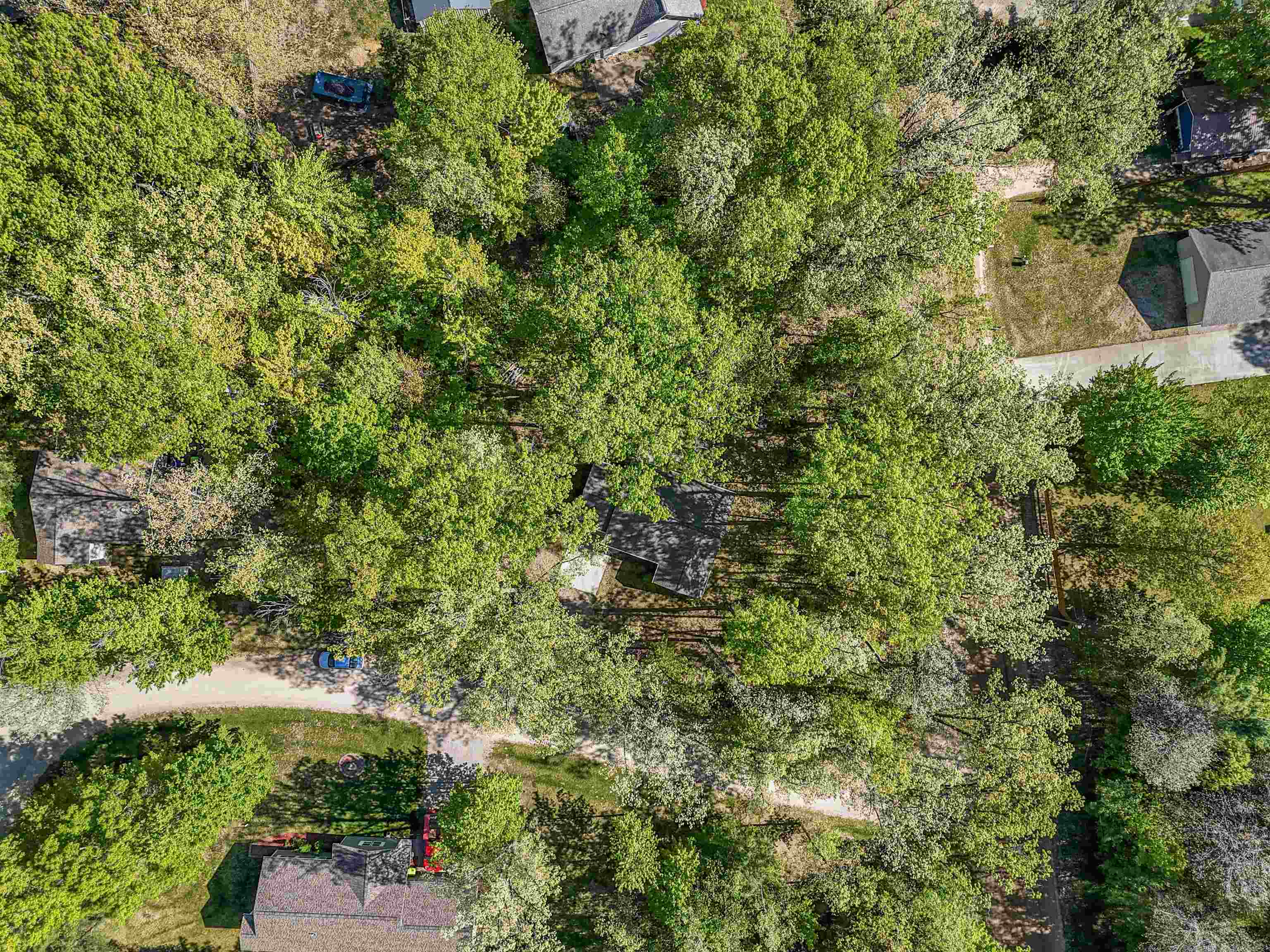 8788 Cedar Ridge Lane Fife Lake, MI 49633 - Photo 43 of 43