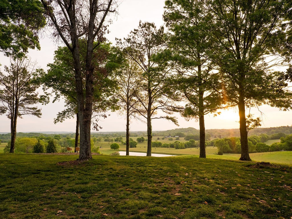 2311 Darks Mill Road Columbia, TN 38401 - Photo 83 of 97 Gallery Image 83