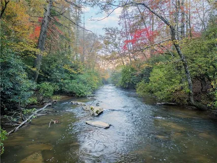 a view of a lake with lots of trees