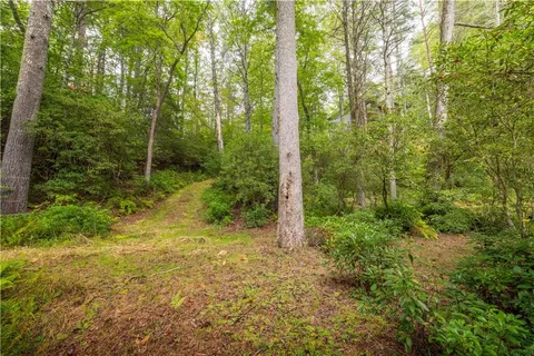 $1,650,000 | 27 Riverview Lane, Cherry Log, GA 30522