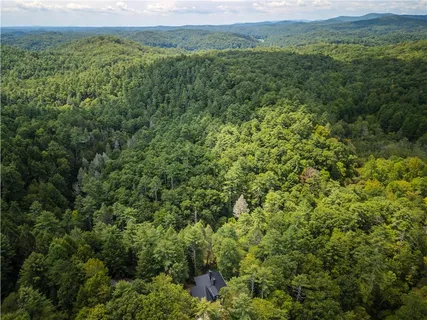 $1,650,000 | 27 Riverview Lane, Cherry Log, GA 30522