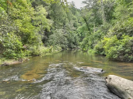 $1,650,000 | 27 Riverview Lane, Cherry Log, GA 30522