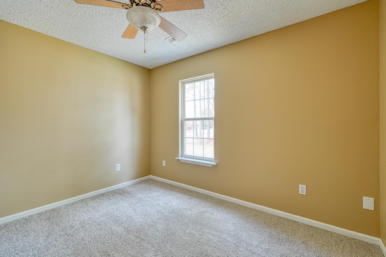 409 Flamingo Way Boiling Springs, SC 29316 - Photo 31 of 40