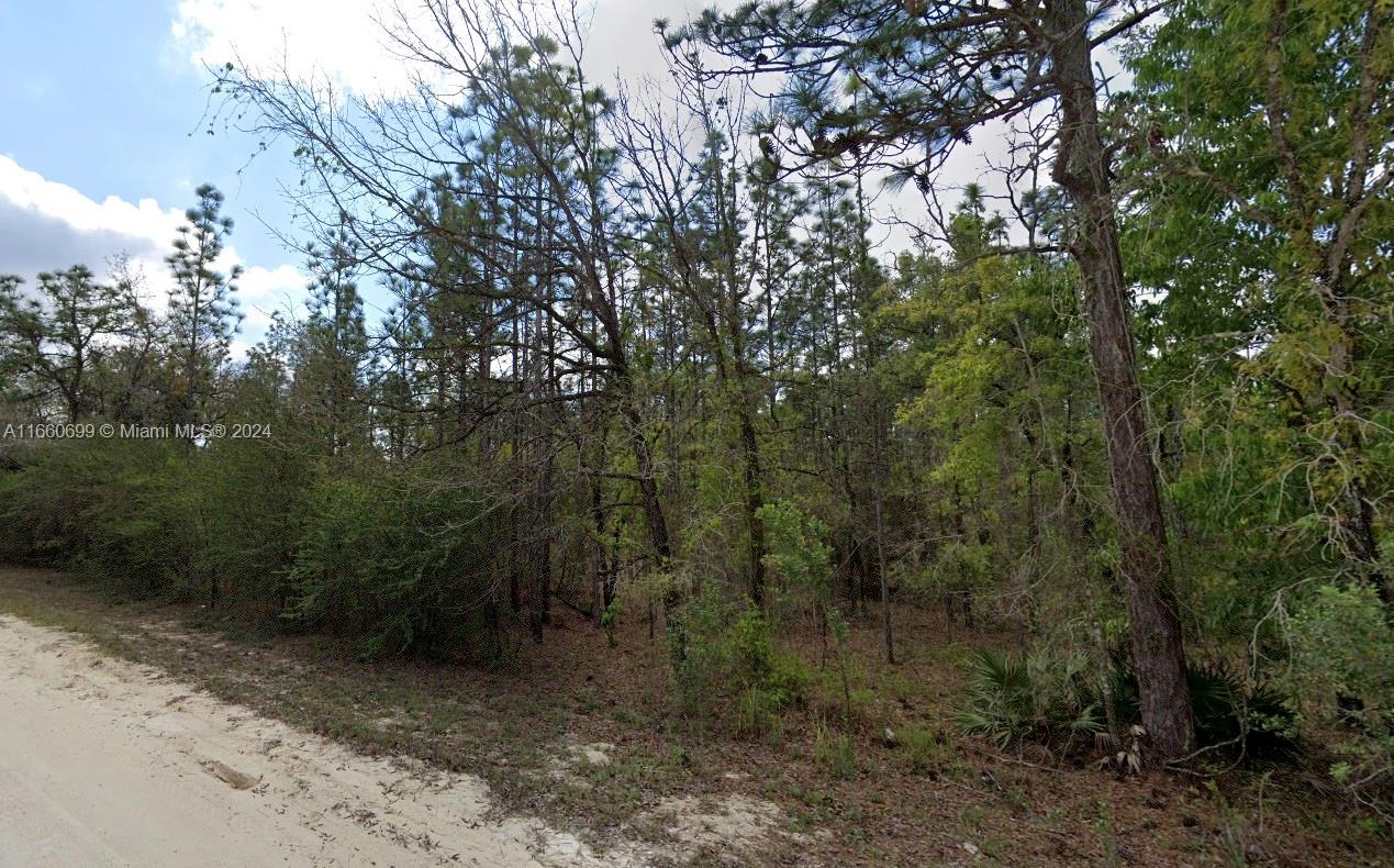 Lot 10 Albany Road Brooksville, FL 34614 - Photo 1 of 4 Gallery Image 1