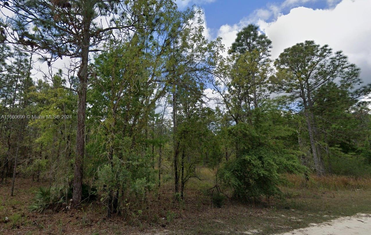 Lot 10 Albany Road Brooksville, FL 34614 - Photo 2 of 4 Gallery Image 2