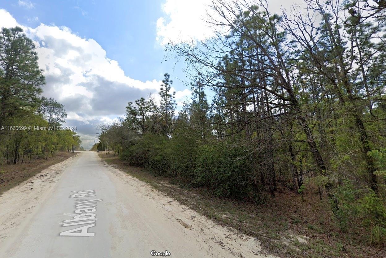 Lot 10 Albany Road Brooksville, FL 34614 - Photo 3 of 4 Gallery Image 3