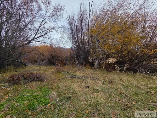 $599,999 | 1119 Hwy 28 Salmon Id 83467, Salmon, ID 83467