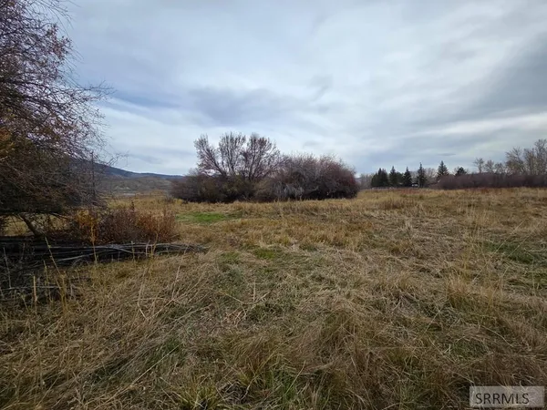 $599,999 | 1119 Hwy 28 Salmon Id 83467, Salmon, ID 83467