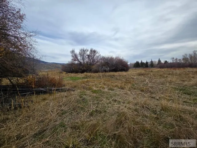 $599,999 | 1119 Hwy 28 Salmon Id 83467, Salmon, ID 83467