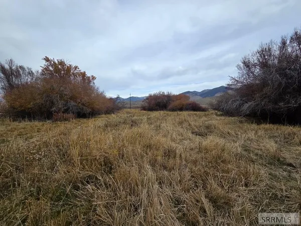 $599,999 | 1119 Hwy 28 Salmon Id 83467, Salmon, ID 83467