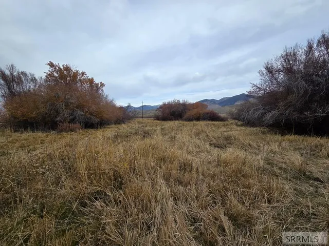 $599,999 | 1119 Hwy 28 Salmon Id 83467, Salmon, ID 83467