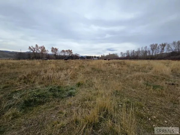 $599,999 | 1119 Hwy 28 Salmon Id 83467, Salmon, ID 83467