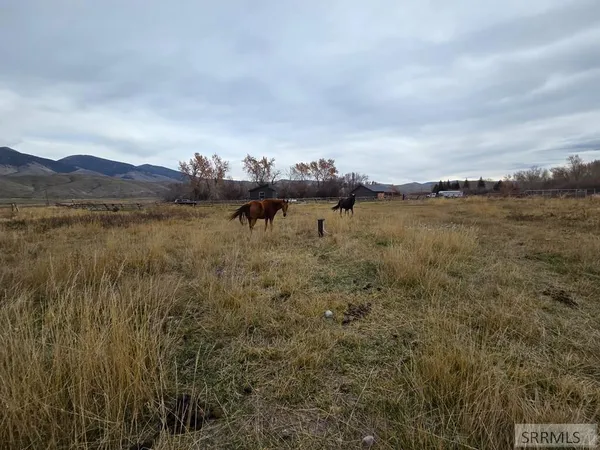 $599,999 | 1119 Hwy 28 Salmon Id 83467, Salmon, ID 83467