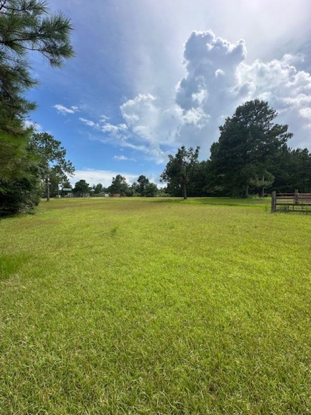 29139 Loper Road Loxley, AL 36551 - Photo 5 of 10 Yard