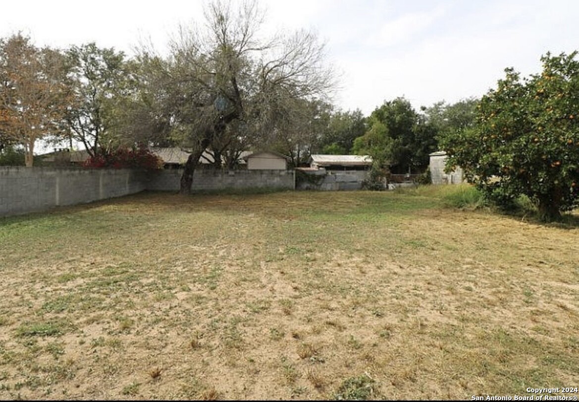 1603 1st Street Zapata, TX 78076 - Photo 11 of 11
