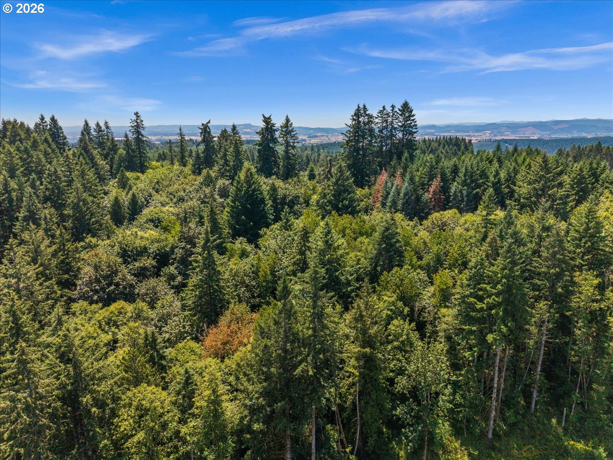 20802 Northwest Pumpkin Ridge Road North Plains, OR 97133 - Photo 6 of 18