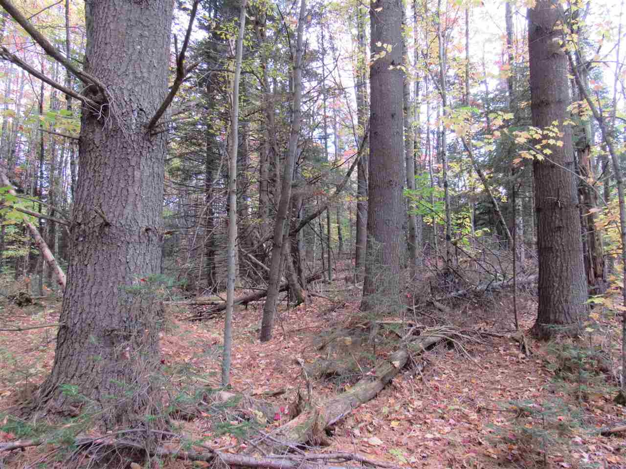 0 Ball Ground Road Westfield, VT 05874 - Photo 11 of 22