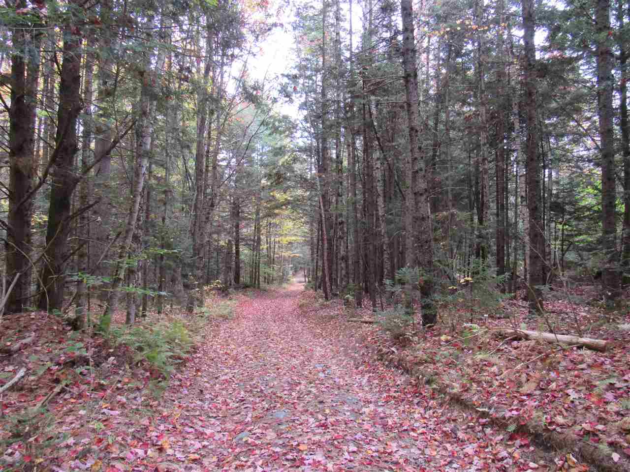 0 Ball Ground Road Westfield, VT 05874 - Photo 17 of 22