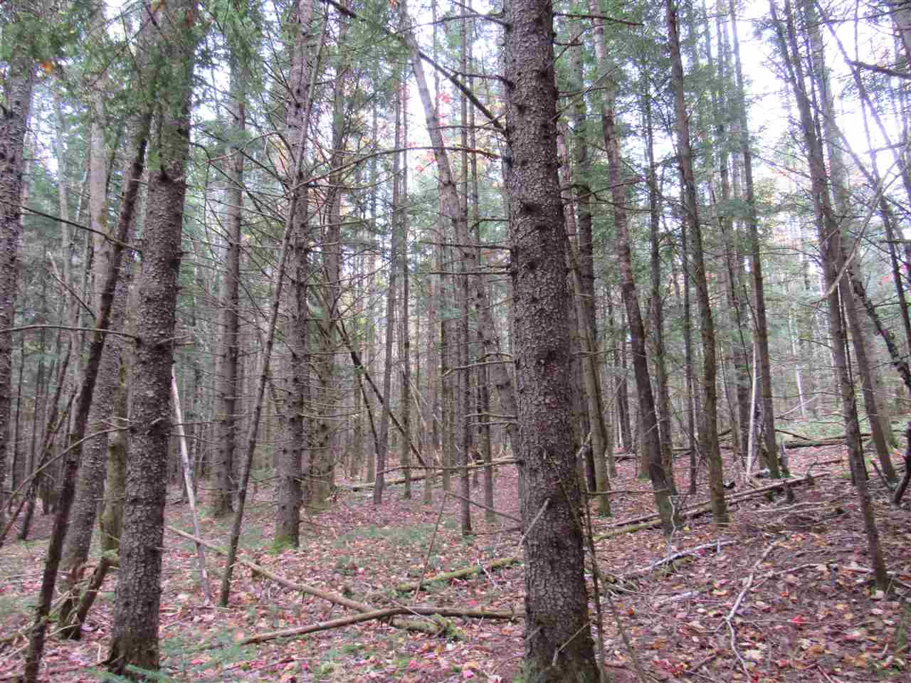 0 Ball Ground Road Westfield, VT 05874 - Photo 18 of 22
