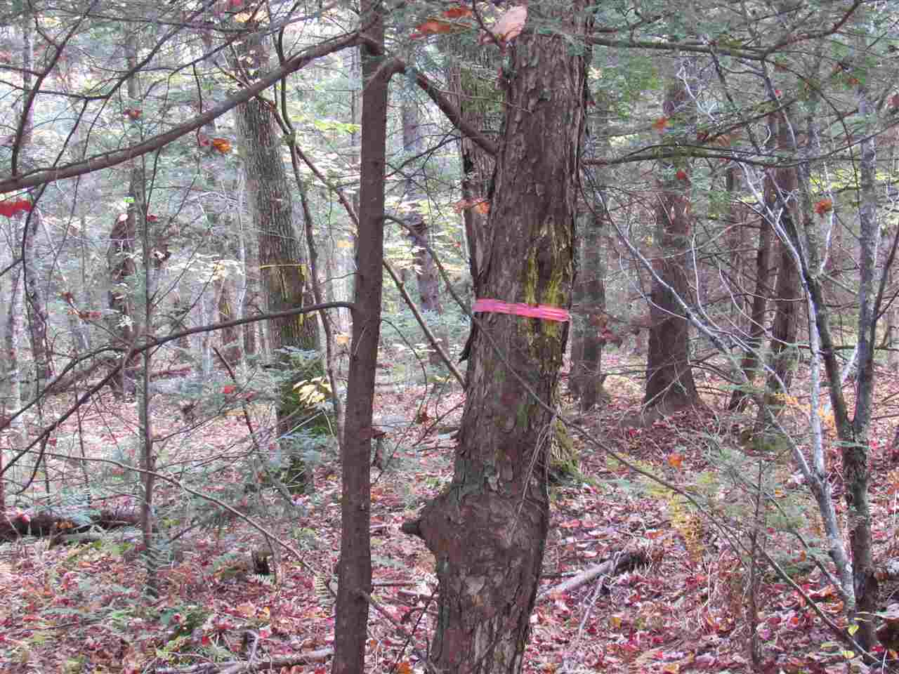 0 Ball Ground Road Westfield, VT 05874 - Photo 4 of 22