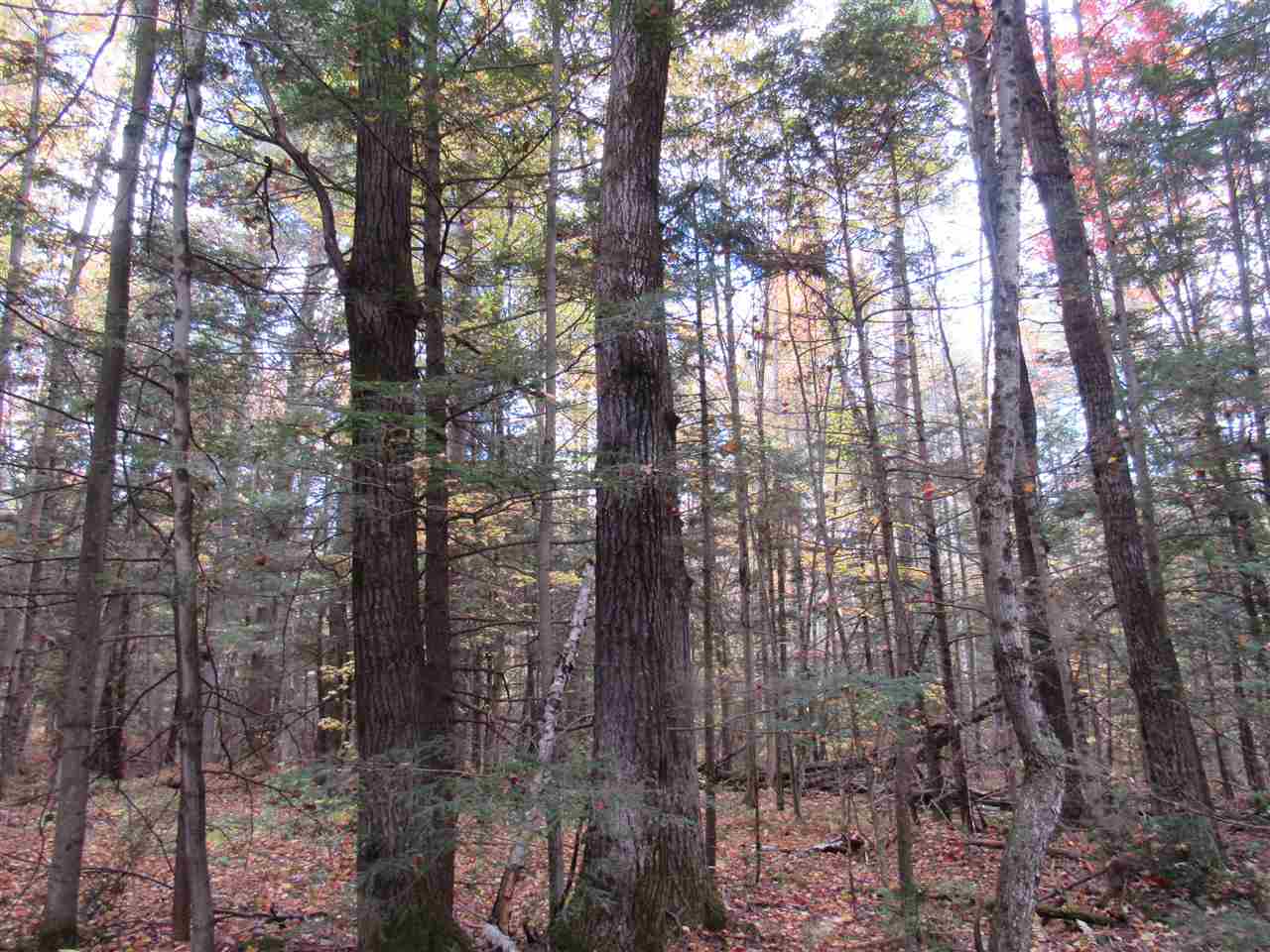 0 Ball Ground Road Westfield, VT 05874 - Photo 5 of 22
