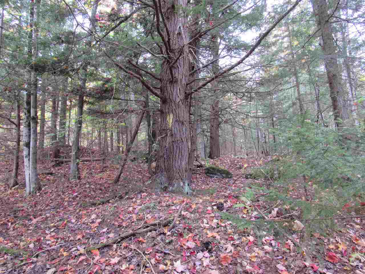 0 Ball Ground Road Westfield, VT 05874 - Photo 6 of 22