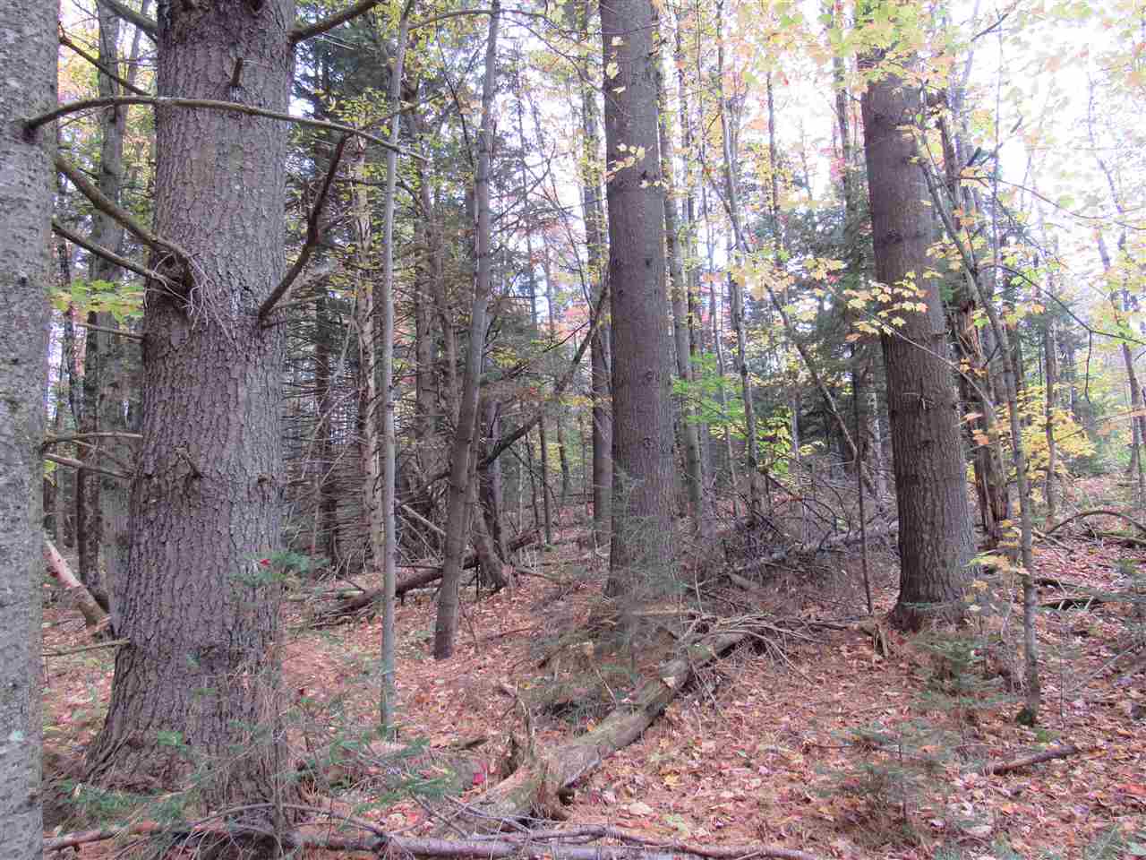 0 Ball Ground Road Westfield, VT 05874 - Photo 10 of 22