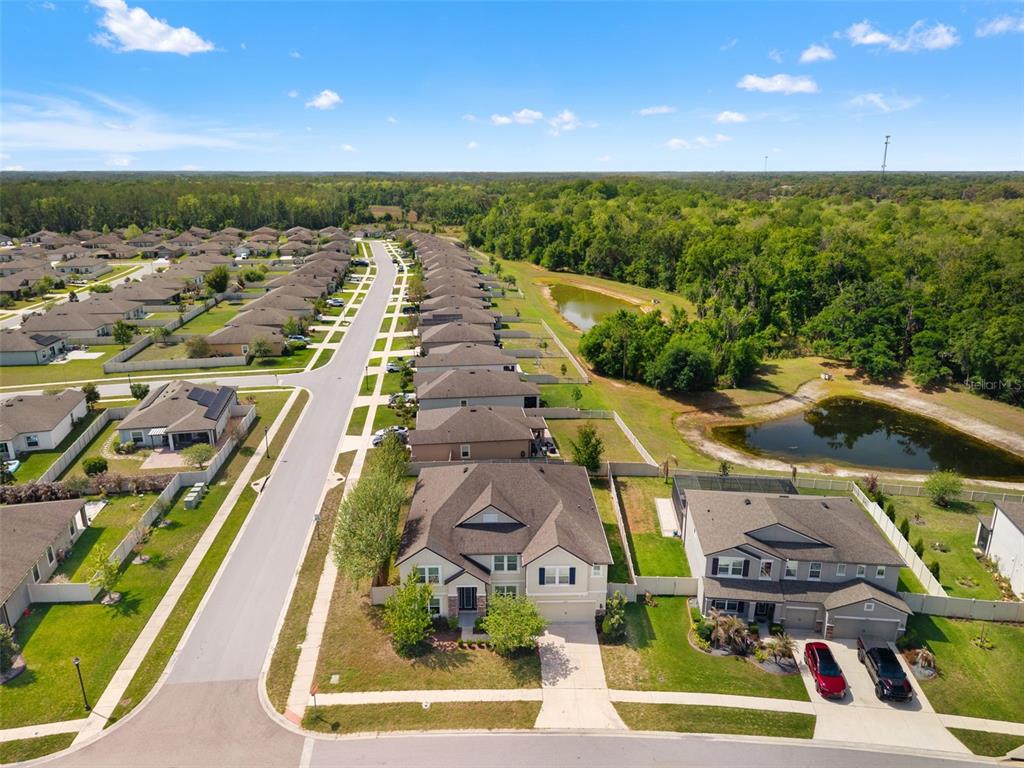18696 Malinche Loop Spring Hill, FL 34610 - Photo 63 of 66 Gallery Image 63