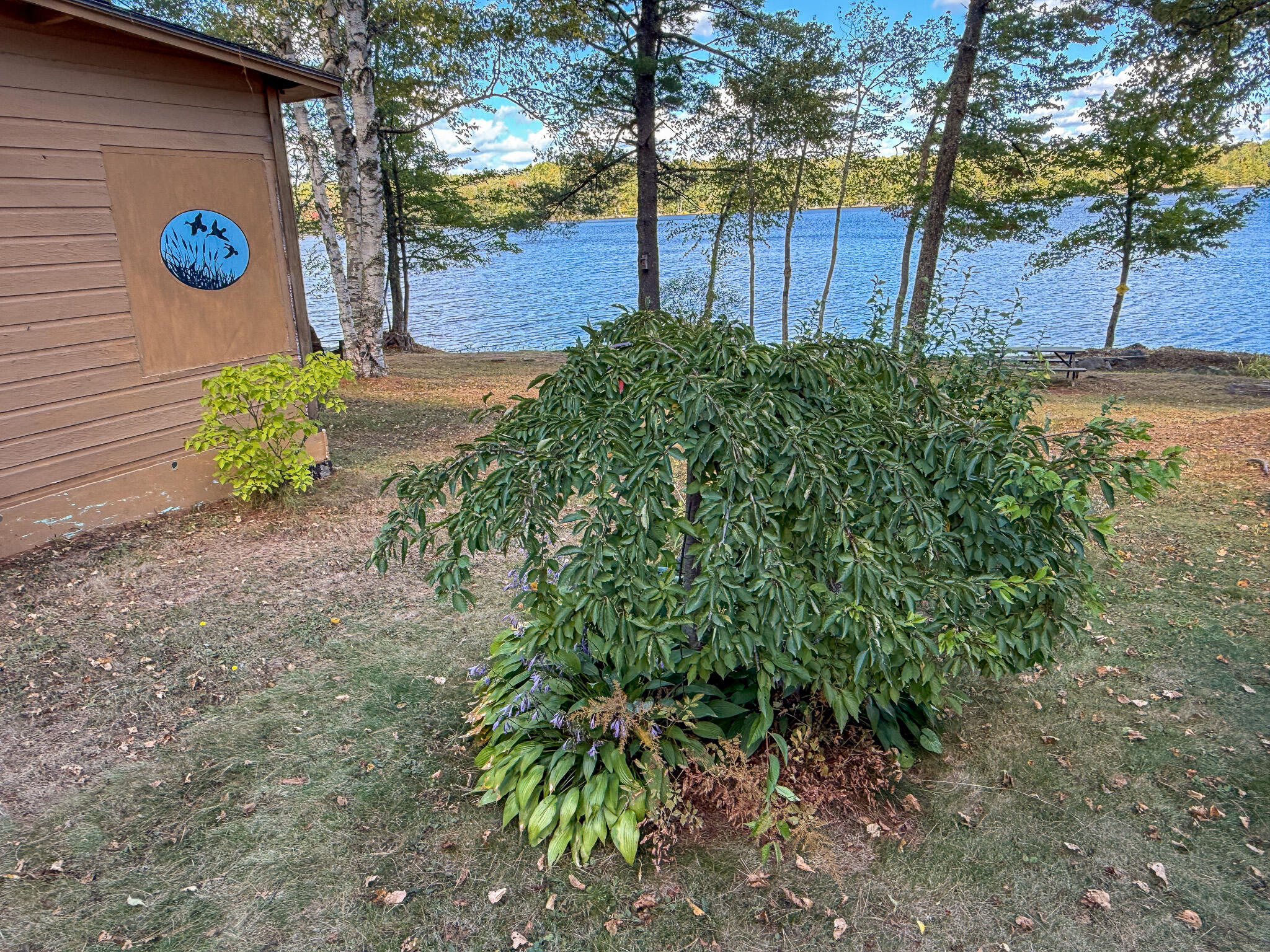 50 Picnic Point Road Brookton, ME 04413 - Photo 9 of 49