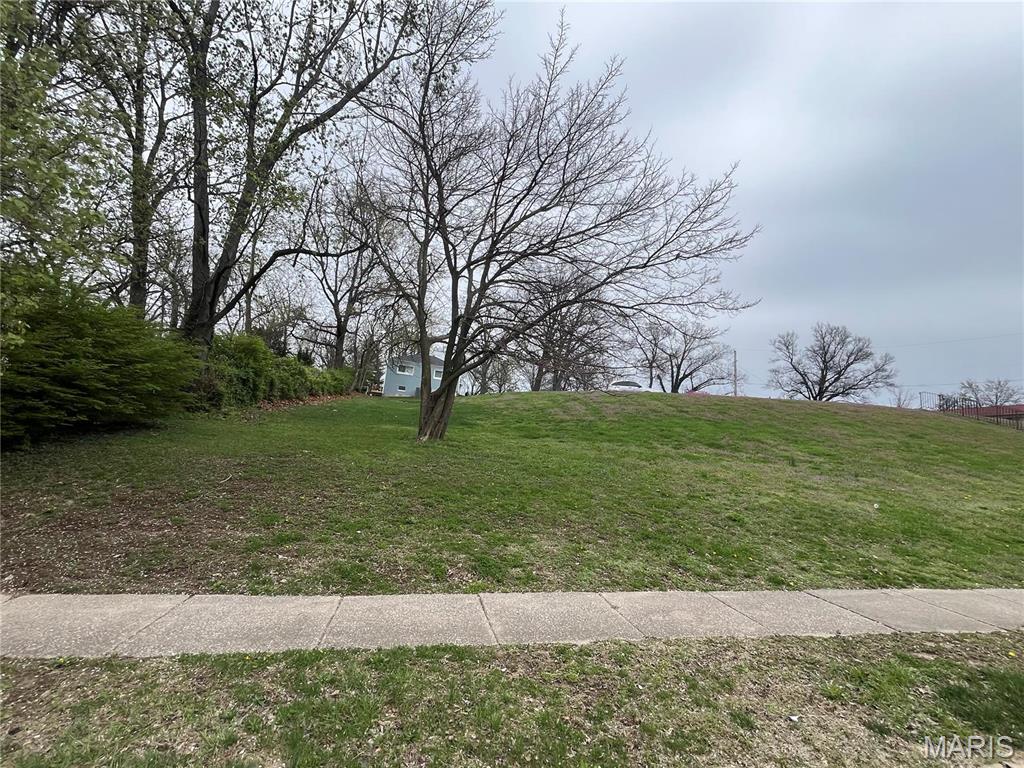 3001 Ashby Road St. Louis, MO 63114 - Photo 6 of 15
