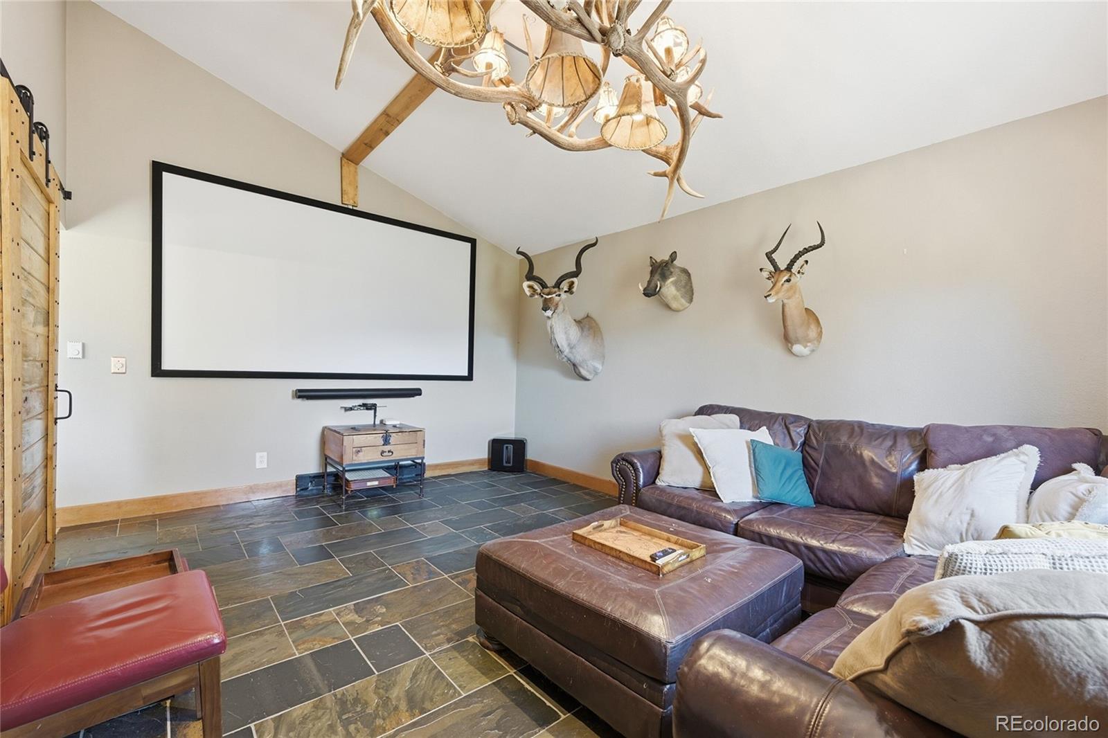 16 Auk Lane Bailey, CO 80421 - Photo 16 of 39 a living room with furniture and a flat screen tv