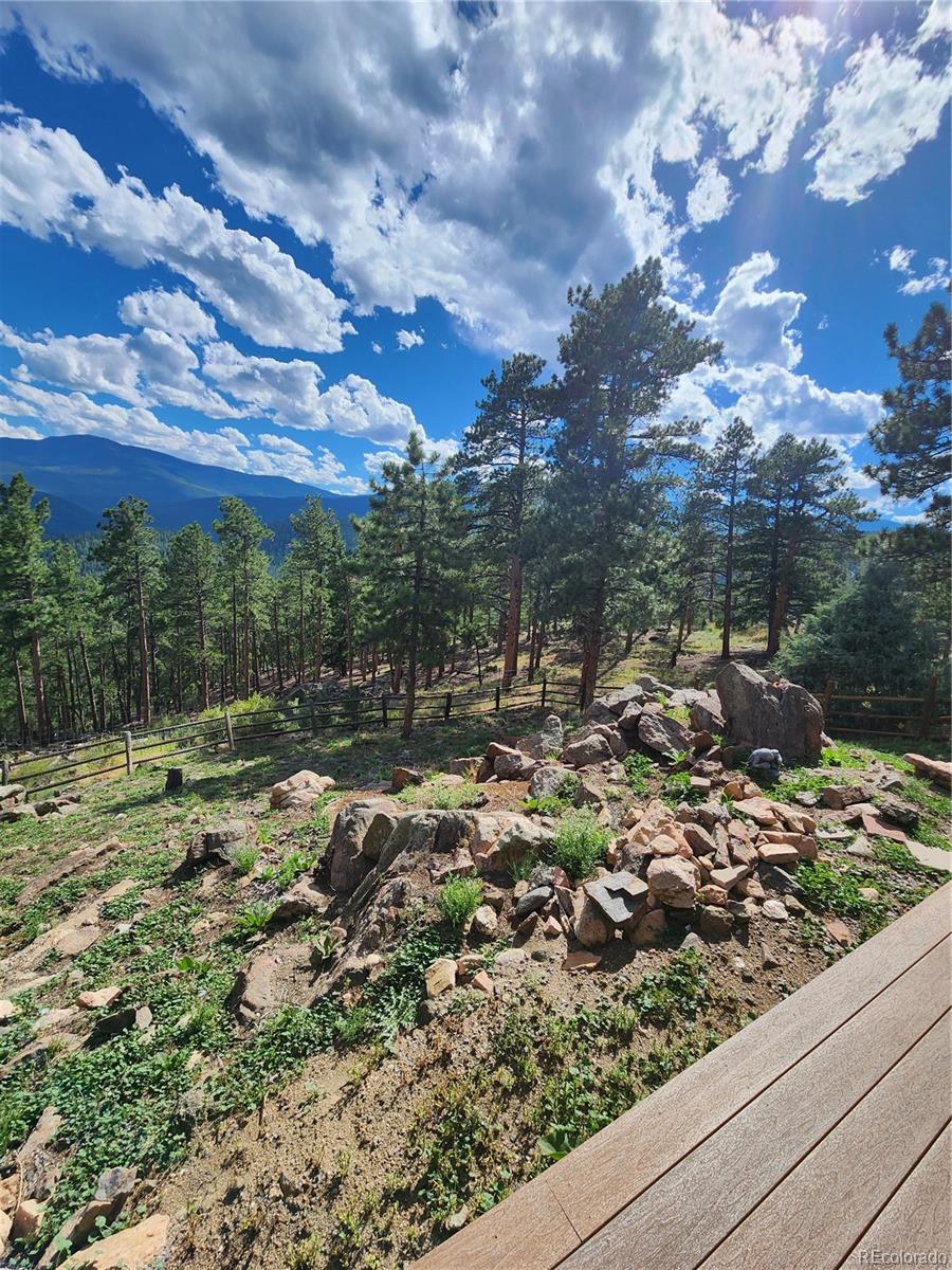 16 Auk Lane Bailey, CO 80421 - Photo 35 of 39 a view of a park with large trees