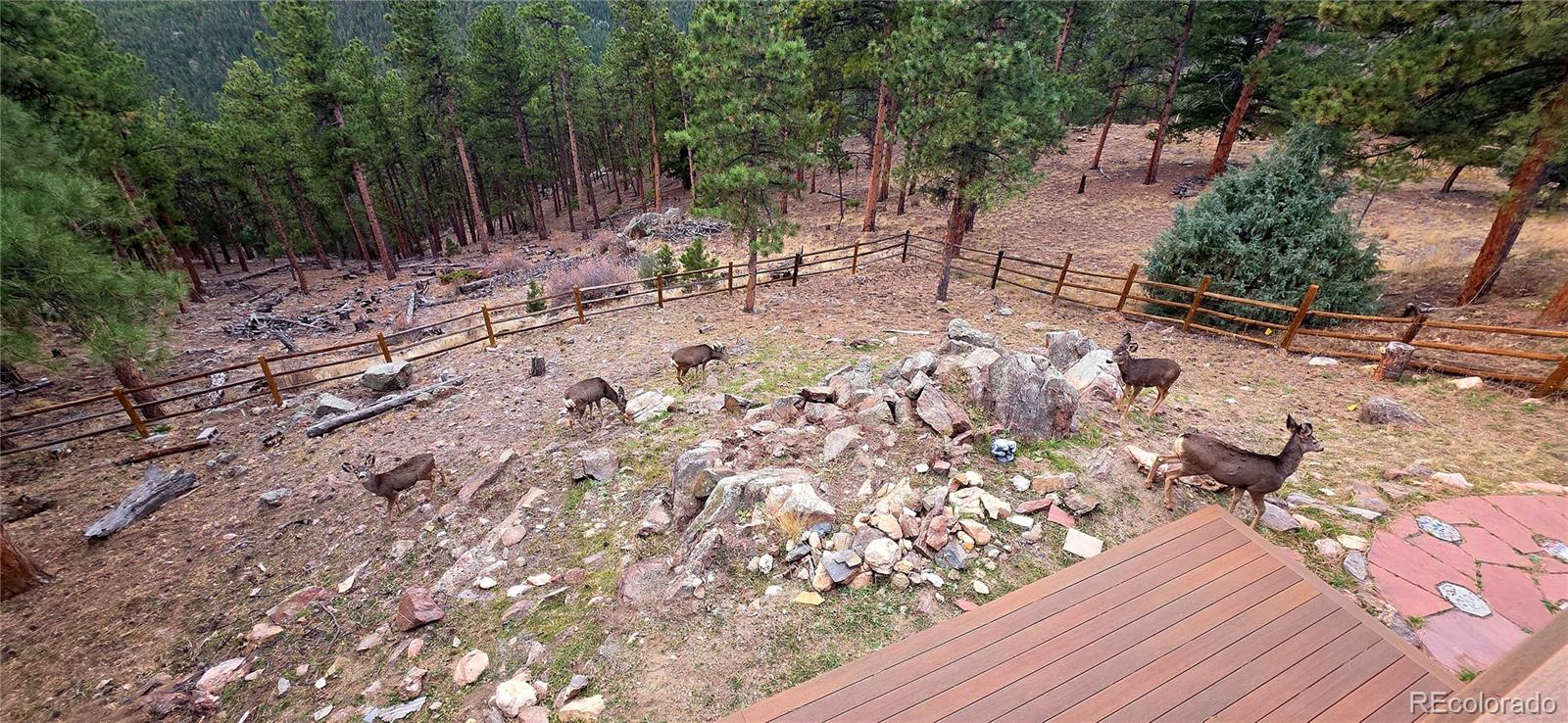 16 Auk Lane Bailey, CO 80421 - Photo 37 of 39 a view of a yard with wooden fence