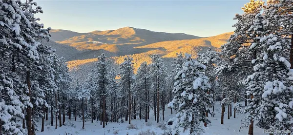 $875,000 | 16 Auk Lane, Bailey, CO 80421