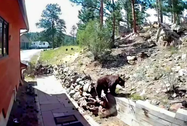 $875,000 | 16 Auk Lane, Bailey, CO 80421