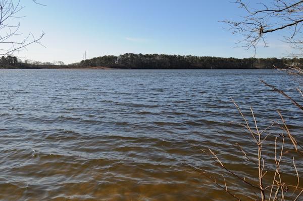 192 Run Hill Road Brewster, MA 02631 - Photo 11 of 25 Additional Photo
