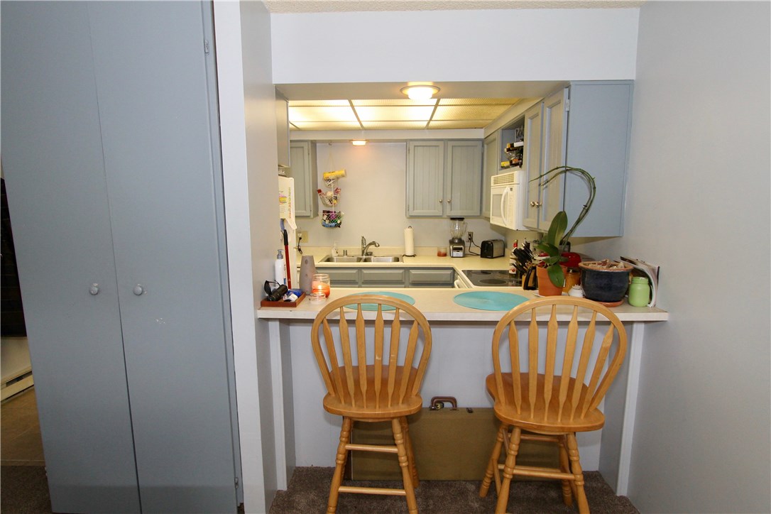 860 Copper Road, Unit 101 Frisco, CO 80443 - Photo 3 of 11 Gallery Image 3