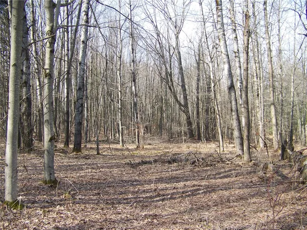 $93,700 | 191 West St Extension, Oneonta, NY 13820