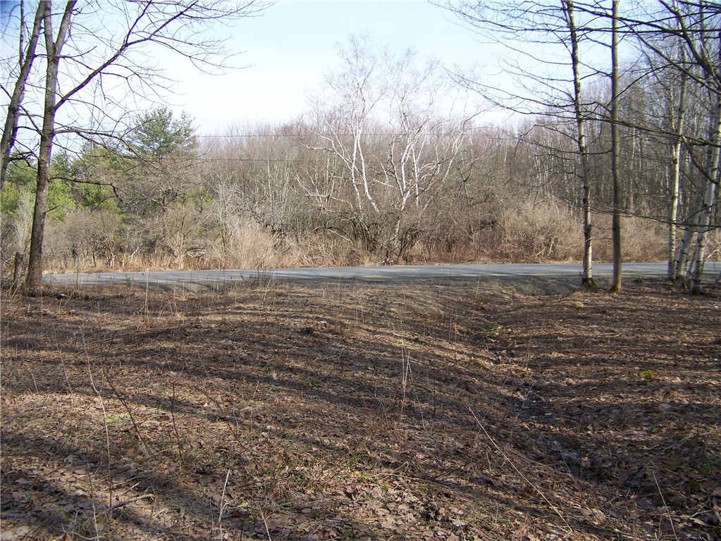 191 West St Extension Oneonta, NY 13820 - Photo 2 of 10