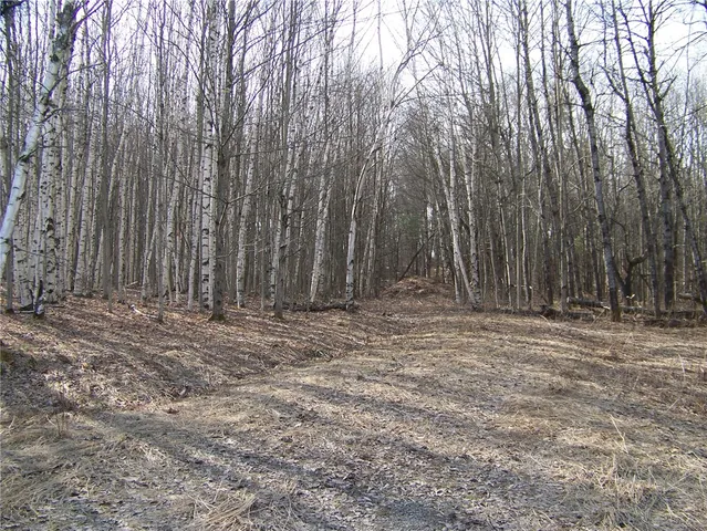 $93,700 | 191 West St Extension, Oneonta, NY 13820