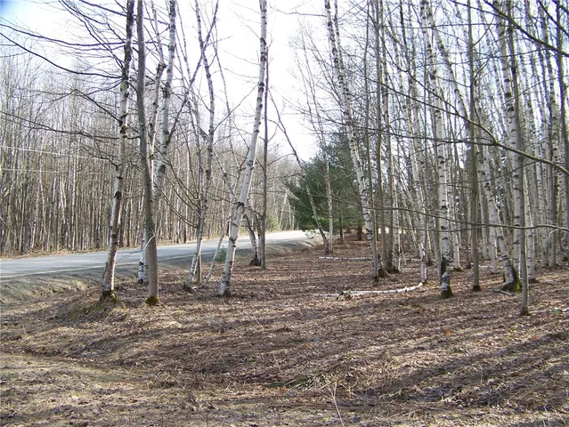 $93,700 | 191 West St Extension, Oneonta, NY 13820