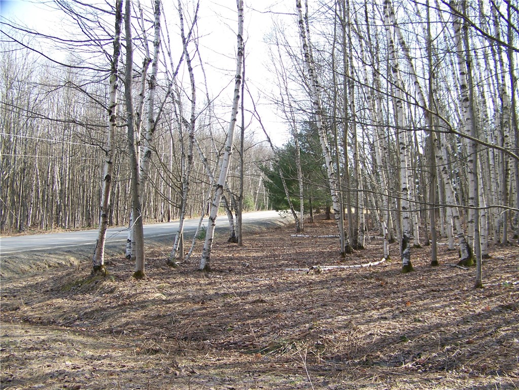 191 West St Extension Oneonta, NY 13820 - Photo 5 of 10