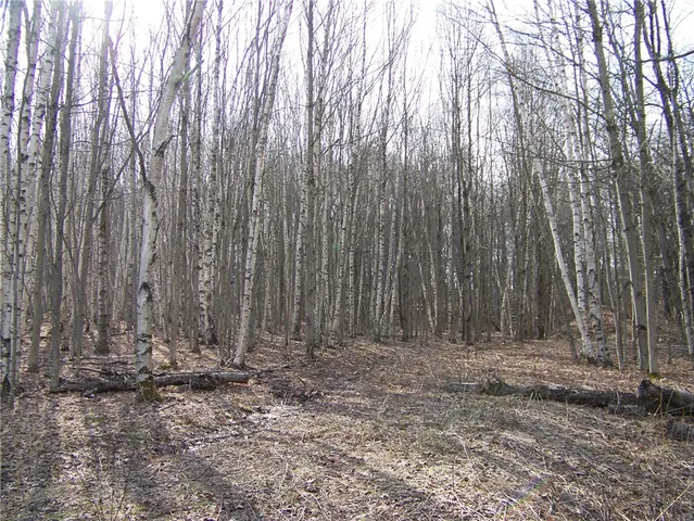 $93,700 | 191 West St Extension, Oneonta, NY 13820