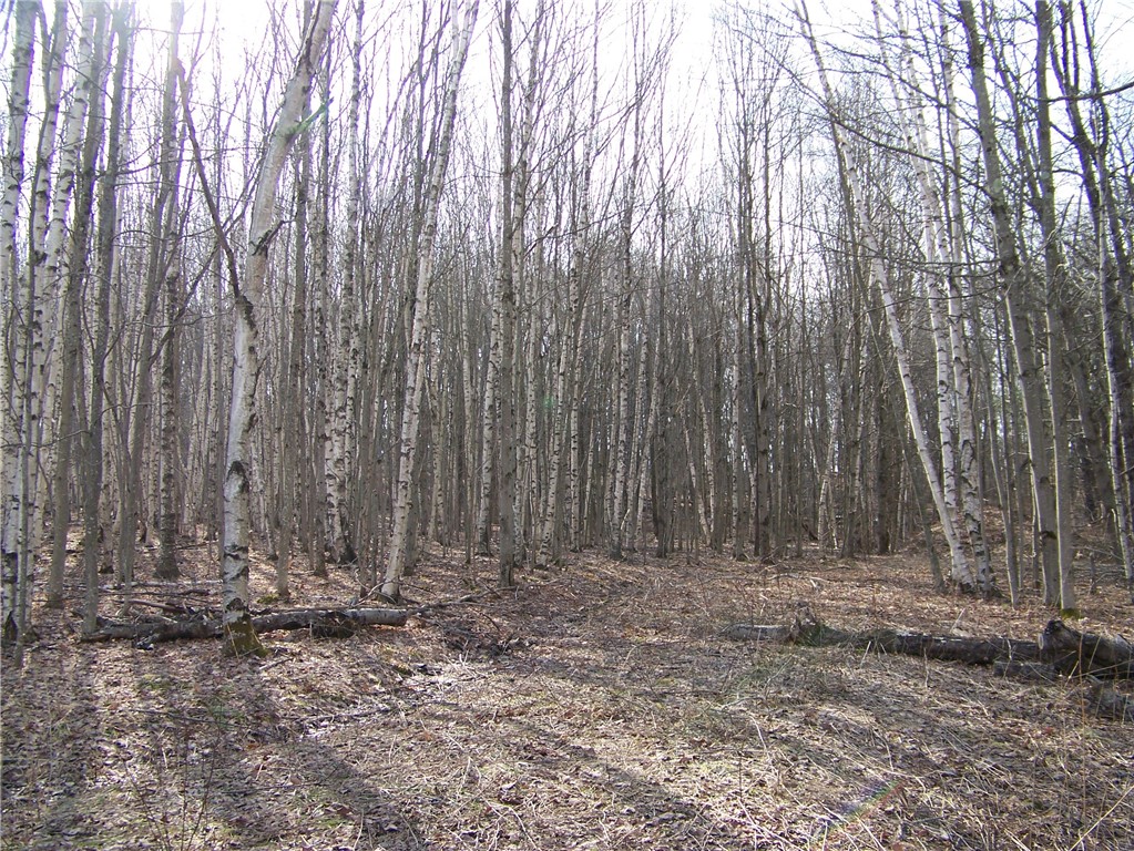 191 West St Extension Oneonta, NY 13820 - Photo 6 of 10