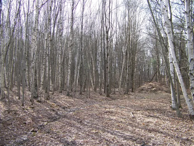 $93,700 | 191 West St Extension, Oneonta, NY 13820