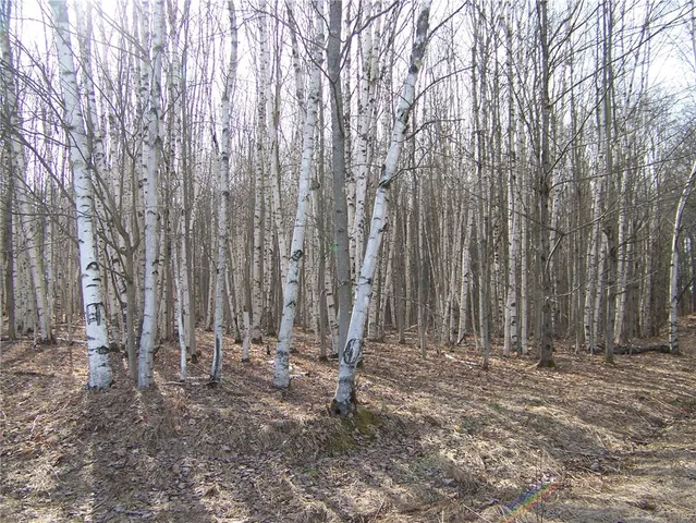 $93,700 | 191 West St Extension, Oneonta, NY 13820